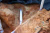 100_0145.JPG (87325 bytes)