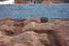 100_0201.JPG (1371478 bytes)